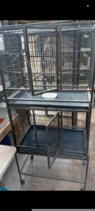 Breeding pairs of cockatiels
