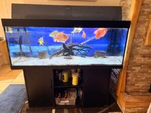 450L Full set-up Fish Tank