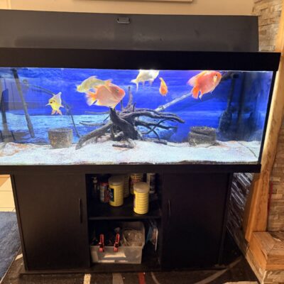 450L Full set-up Fish Tank