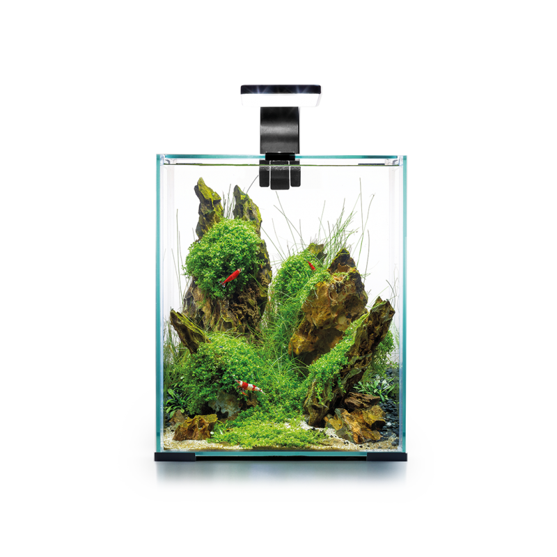 Aquael SHRIMP SET DAY&NIGHT 10l white