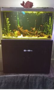 260 Litre Aquarium and Stand with Filters, Heater & Light