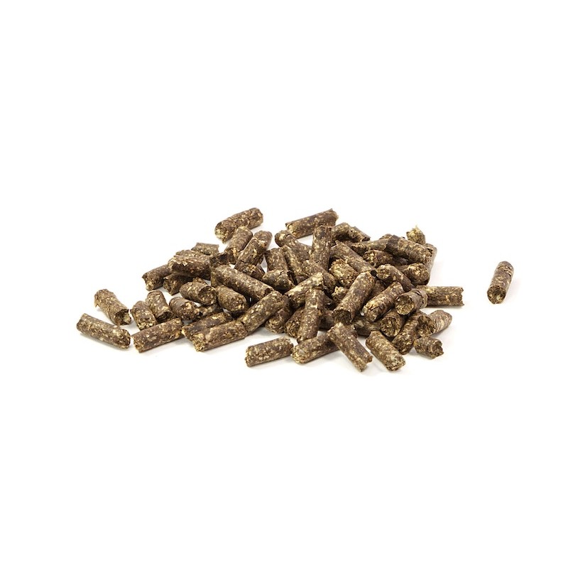 GlasGarten Humin Sticks – Care Food 30g