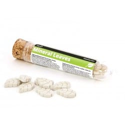 GlasGarten Mineral Leaves 8pcs
