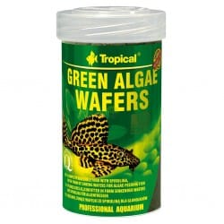 Tropical GREEN ALGAE WAFERS + KETAPANG 100ml