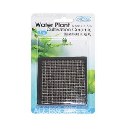 ISTA Water Plant Cultivation Ceramic 6,5×6,5cm square DD05
