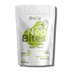 Kabadi Neo Bite 50g – Tetra Fish (Small Fish) Slow Sinking