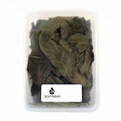 Maple leaves 1000ml