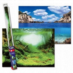 Plants – Ocean background 60x30cm