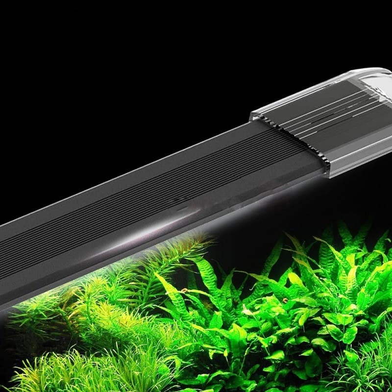 SunSun Jialu Elegant Slim LED 200J 28-32cm black