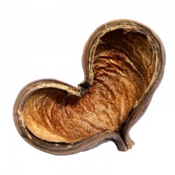 Tantora Heart Cave 8- 10 cm 5 pieces