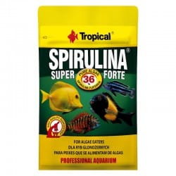 Tropical super spirulina forte 36% – Flakes 12g