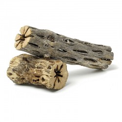 Vuka cactus wood 8x3cm 1 piece