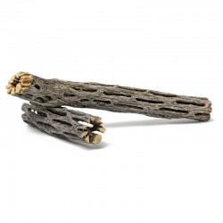 Vuka cactus wood 16x2cm 1 piece