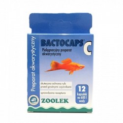 ZOOLEK BACTOCAPS C – 12capsules for bacterial infections